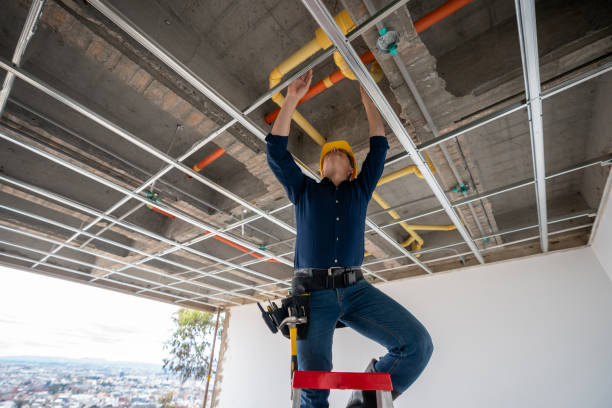 Best Plumbing Repair Near Me  in Flemington, GA